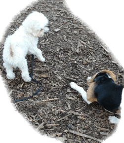 71351571_765052070605904_1160800441722732544_n