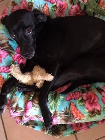 74613720_710738769411564_9090913909711306752_n