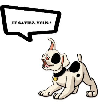 LE SAVIEZ VOUS CHIEN