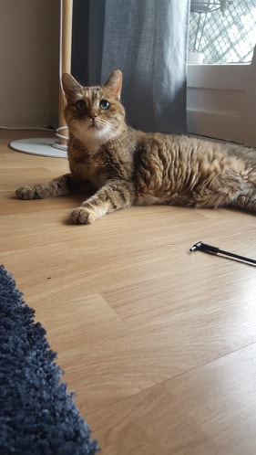 71591953_488704625246712_4002723418939064320_n