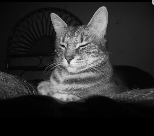 71691938_1193901174113408_6087035730171789312_n