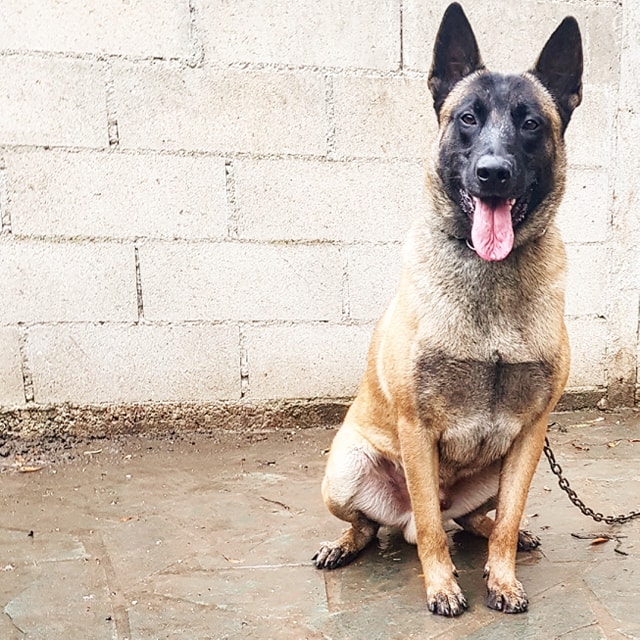 73225517_541487939966570_2904614359978213376_n