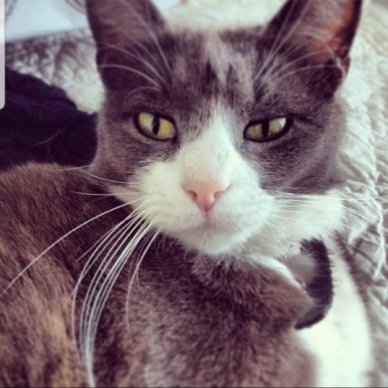 73349312_973741759646458_7563395137187872768_n