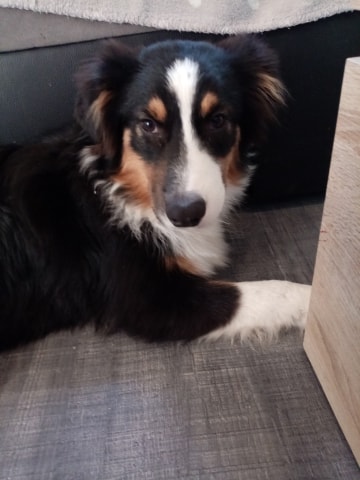 74886488_2486419141629789_6457007919606005760_n