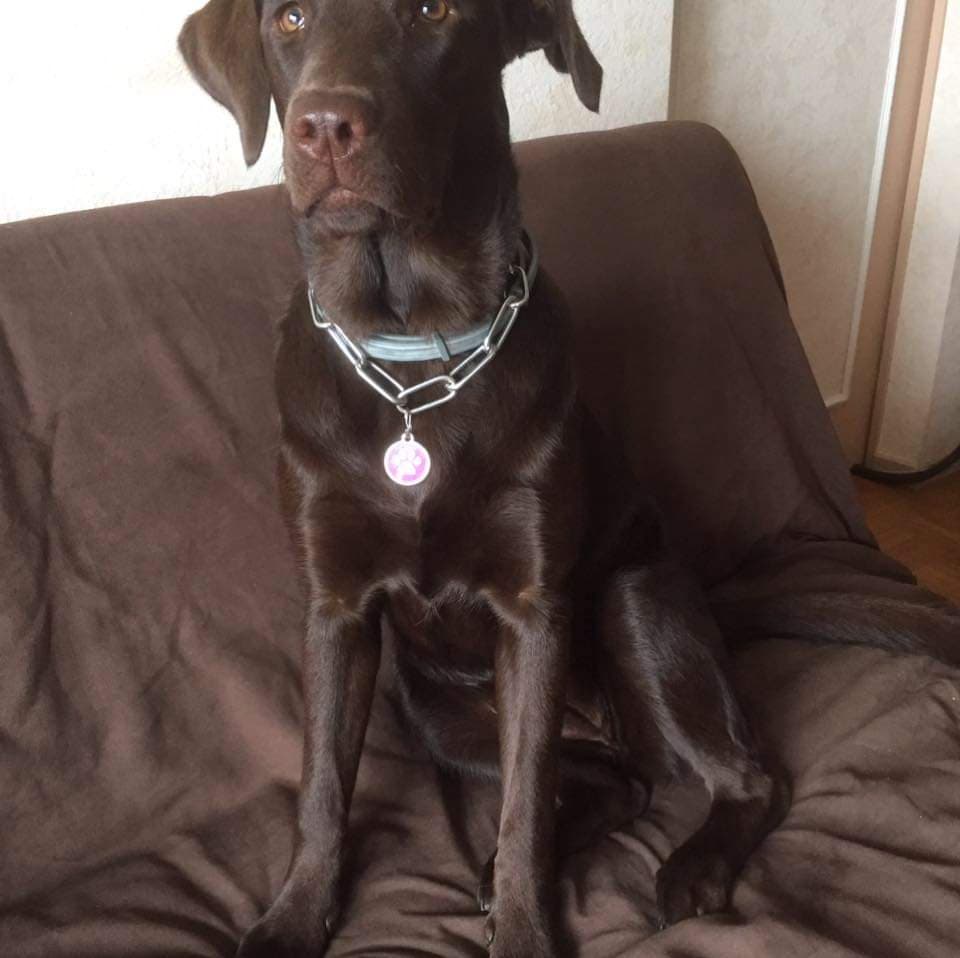 76180167_2393944174205194_8940535302108217344_n