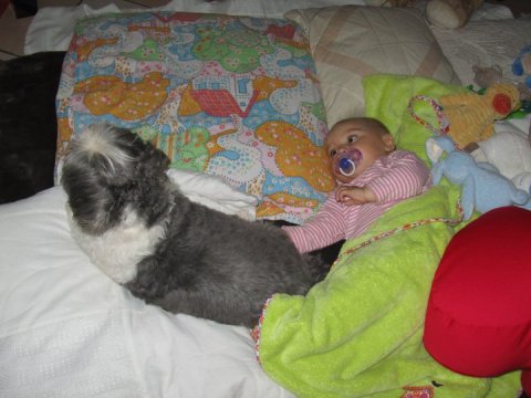 265163_10150377549959937_4088914_n