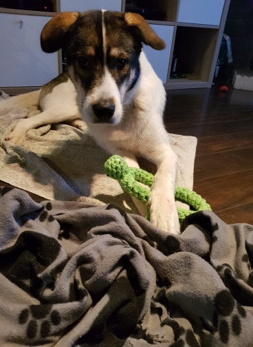 79204228_1727818640682084_553914982908035072_n