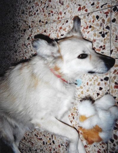 79599421_1389217204587702_1667555597093961728_n