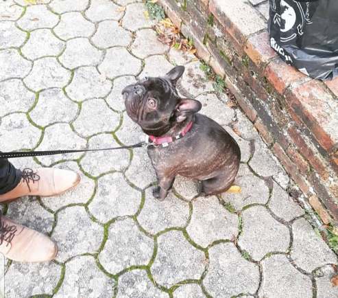 79784473_611139462955124_7466708826285146112_n