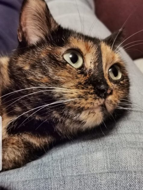 80797896_564037870824368_1921782755817947136_n