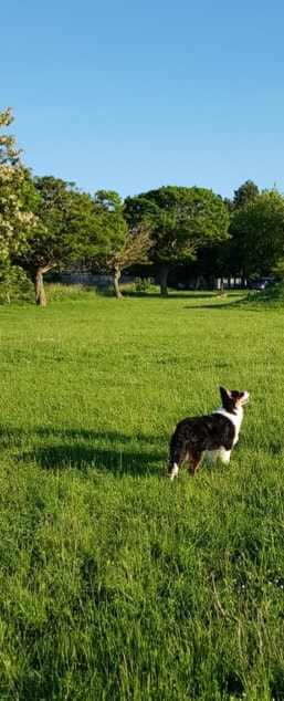 81283981_2561490940572200_3840906437253398528_n