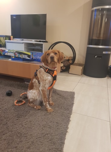 81408623_2523446284648073_4374734012736864256_n