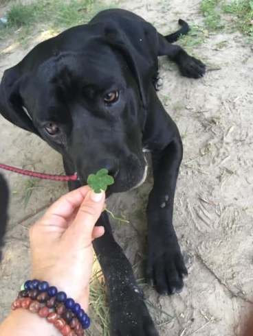 81612619_583395162445288_6261004784950575104_n