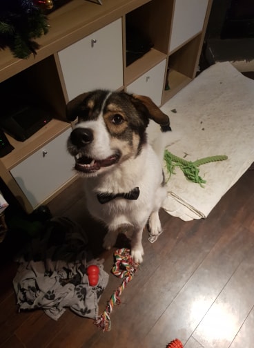 82077516_587534358460426_7071588478051418112_n