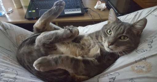 82853133_472629306735077_707668554337484800_n