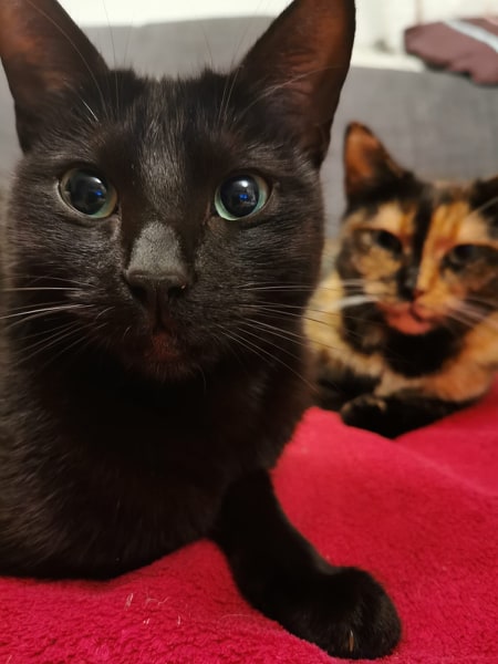 84659948_840317626409000_8868490773360803840_n