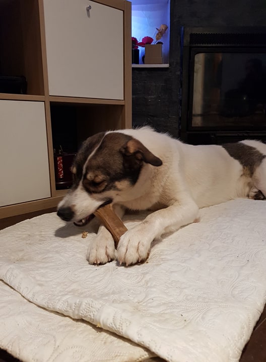 85041829_496217637980017_8674886365055287296_n