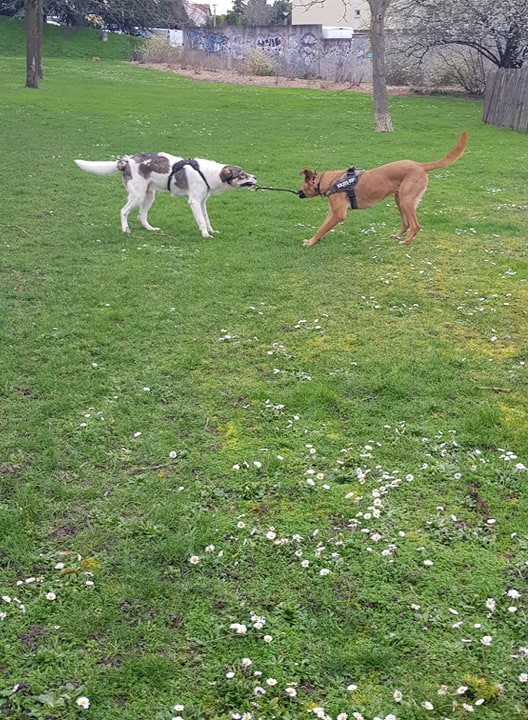 86500664_128209098528996_5872741008407527424_n