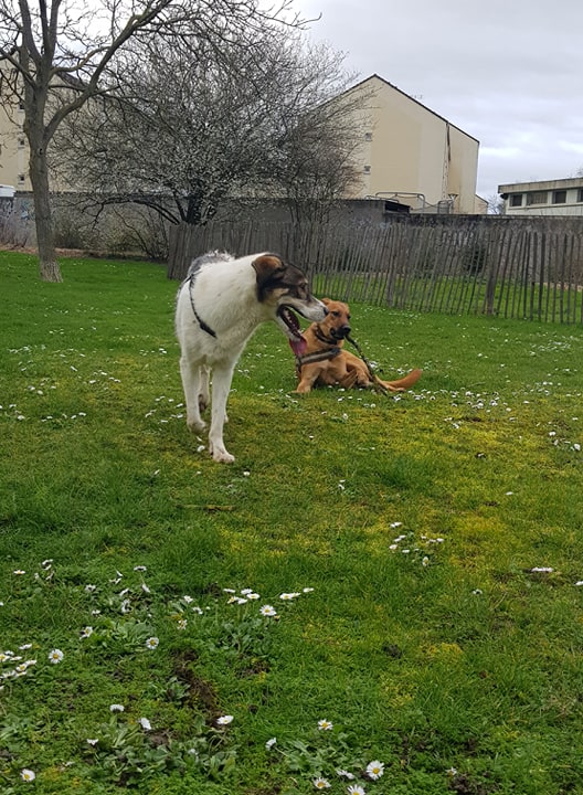 86730448_3572196682852228_213217763009757184_n