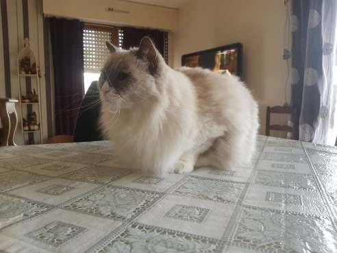 89263782_242840643418264_2724431153242046464_n