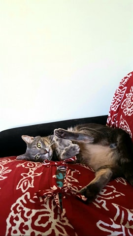 89427505_219701749180019_5862111526990643200_n