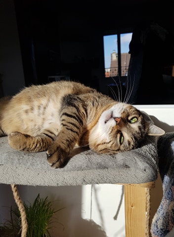 89519088_520769705515865_5910039956104937472_n