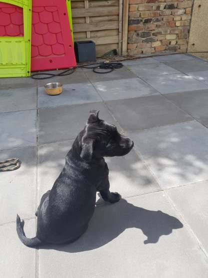 104996178_261176468311244_5131179581605700360_n